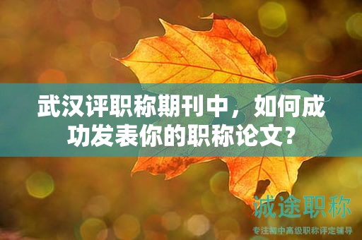 武漢評(píng)職稱期刊中，如何成功發(fā)表你的職稱論文？