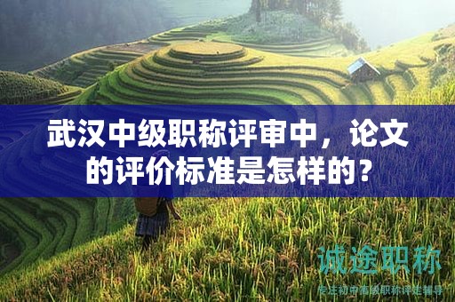 武漢中級職稱評審中，論文的評價標準是怎樣的？