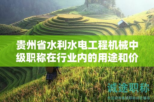 貴州省水利水電工程機(jī)械中級(jí)職稱在行業(yè)內(nèi)的用途和價(jià)值有哪些？