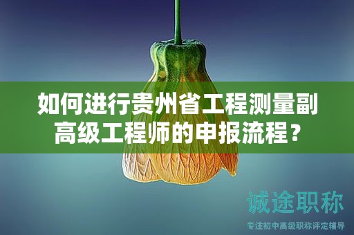 如何進(jìn)行貴州省工程測(cè)量副高級(jí)工程師的申報(bào)流程？