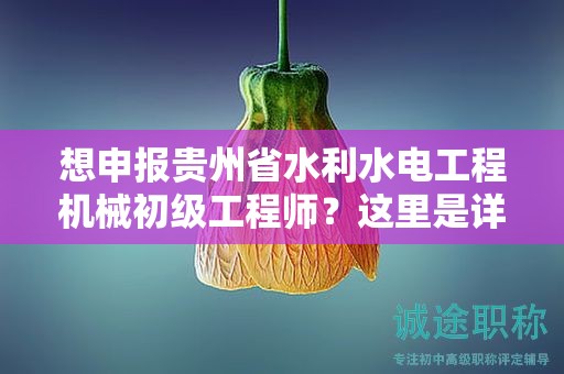 想申報貴州省水利水電工程機械初級工程師？這里是詳細(xì)的流程！