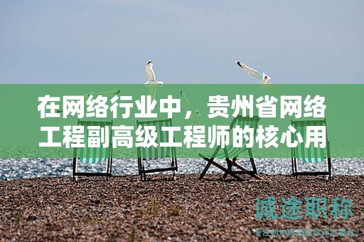 在網(wǎng)絡(luò)行業(yè)中，貴州省網(wǎng)絡(luò)工程副高級工程師的核心用途是什么？