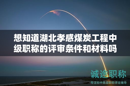 想知道湖北孝感煤炭工程中級職稱的評審條件和材料嗎？