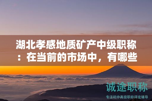 湖北孝感地質(zhì)礦產(chǎn)中級(jí)職稱(chēng)：在當(dāng)前的市場(chǎng)中，有哪些核心用途？