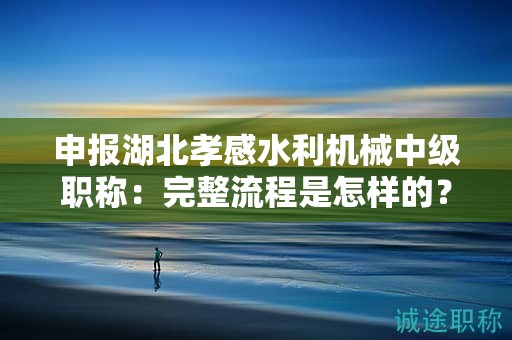 申報湖北孝感水利機械中級職稱：完整流程是怎樣的？