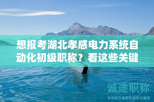 想報考湖北孝感電力系統(tǒng)自動化初級職稱？看這些關鍵條件和要求