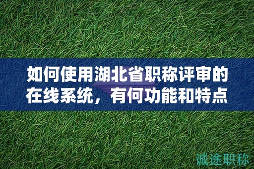 如何使用湖北省職稱評審的在線系統(tǒng)，有何功能和特點？