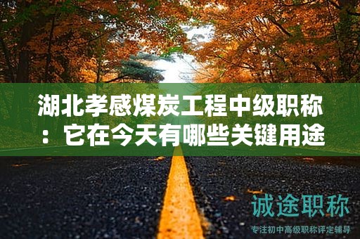 湖北孝感煤炭工程中級職稱：它在今天有哪些關(guān)鍵用途？