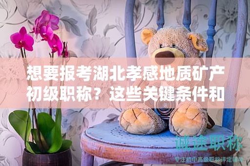想要報(bào)考湖北孝感地質(zhì)礦產(chǎn)初級(jí)職稱？這些關(guān)鍵條件和要求你都清楚了嗎？