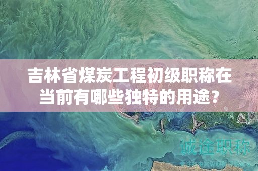 吉林省煤炭工程初級職稱在當前有哪些獨特的用途？