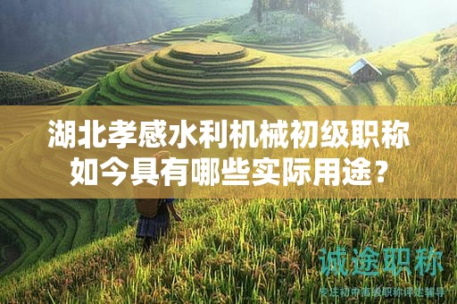 湖北孝感水利機(jī)械初級(jí)職稱如今具有哪些實(shí)際用途？