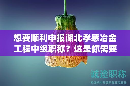 想要順利申報湖北孝感冶金工程中級職稱？這是你需要的完整流程.