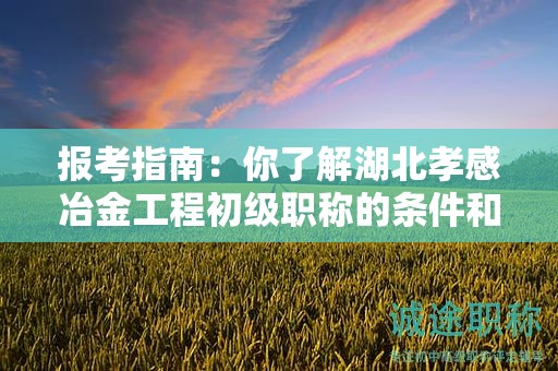 報考指南：你了解湖北孝感冶金工程初級職稱的條件和要求嗎？