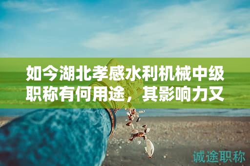 如今湖北孝感水利機(jī)械中級職稱有何用途，其影響力又如何？