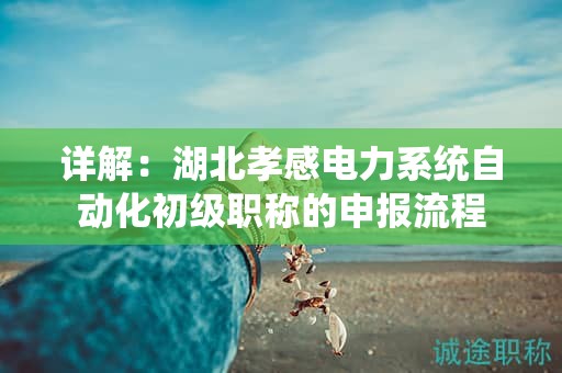詳解：湖北孝感電力系統(tǒng)自動(dòng)化初級(jí)職稱的申報(bào)流程