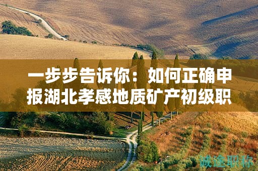 一步步告訴你：如何正確申報湖北孝感地質(zhì)礦產(chǎn)初級職稱？