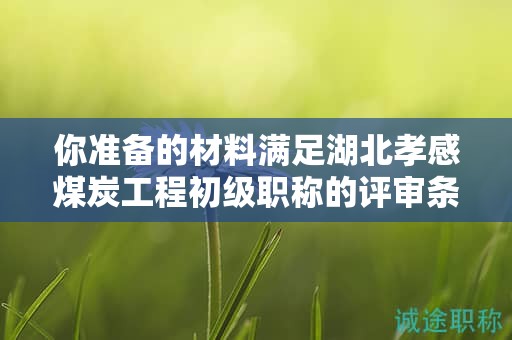 你準(zhǔn)備的材料滿足湖北孝感煤炭工程初級職稱的評審條件嗎？