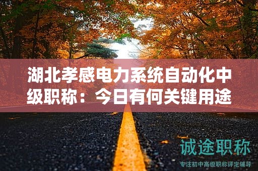 湖北孝感電力系統(tǒng)自動化中級職稱：今日有何關(guān)鍵用途？