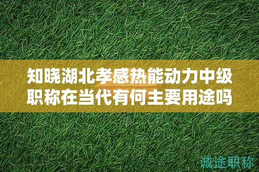 知曉湖北孝感熱能動力中級職稱在當(dāng)代有何主要用途嗎？