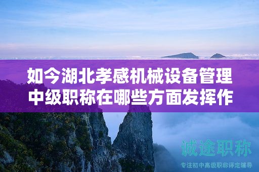 如今湖北孝感機械設備管理中級職稱在哪些方面發(fā)揮作用？