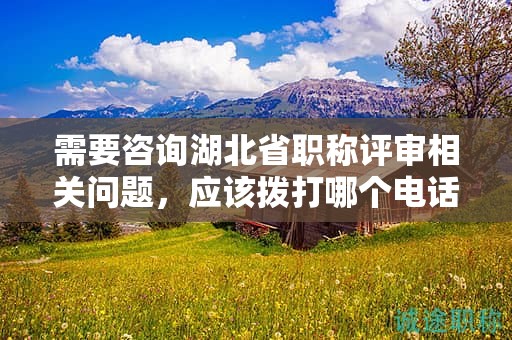 需要咨詢湖北省職稱評(píng)審相關(guān)問題，應(yīng)該撥打哪個(gè)電話？