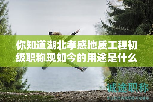 你知道湖北孝感地質(zhì)工程初級職稱現(xiàn)如今的用途是什么嗎？