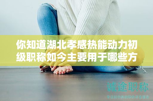 你知道湖北孝感熱能動(dòng)力初級(jí)職稱如今主要用于哪些方面嗎？