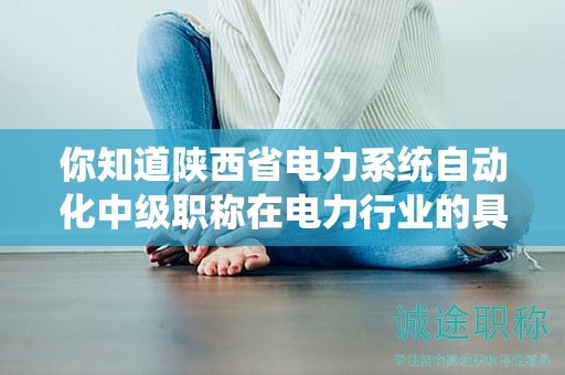 你知道陜西省電力系統(tǒng)自動化中級職稱在電力行業(yè)的具體用途嗎？