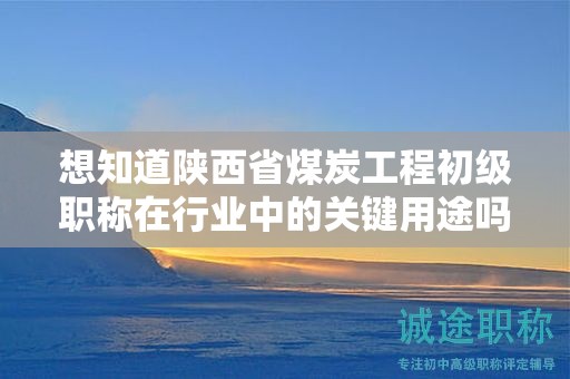 想知道陜西省煤炭工程初級職稱在行業(yè)中的關(guān)鍵用途嗎？