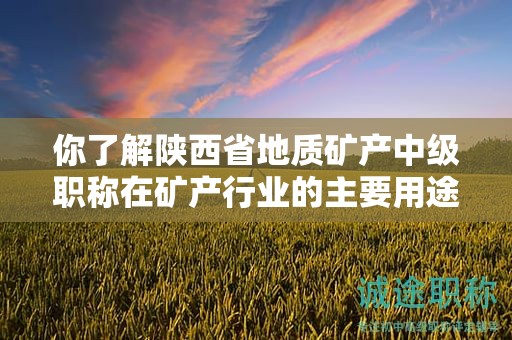 你了解陜西省地質(zhì)礦產(chǎn)中級(jí)職稱在礦產(chǎn)行業(yè)的主要用途嗎？