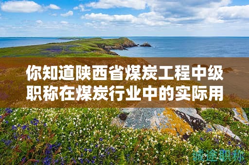 你知道陜西省煤炭工程中級職稱在煤炭行業(yè)中的實際用途嗎？
