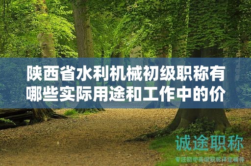 陜西省水利機械初級職稱有哪些實際用途和工作中的價值？