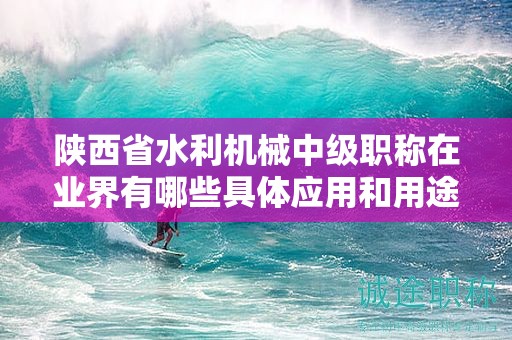 陜西省水利機械中級職稱在業(yè)界有哪些具體應用和用途？