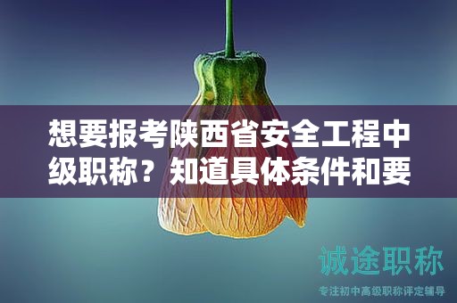 想要報考陜西省安全工程中級職稱？知道具體條件和要求了嗎？
