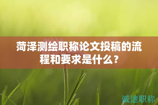 菏澤測繪職稱論文投稿的流程和要求是什么？