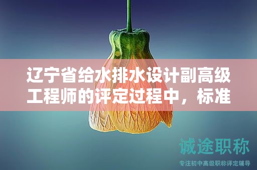 遼寧省給水排水設(shè)計副高級工程師的評定過程中，標(biāo)準(zhǔn)和條件是什么？
