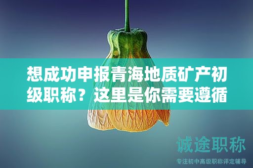 想成功申報青海地質(zhì)礦產(chǎn)初級職稱？這里是你需要遵循的流程