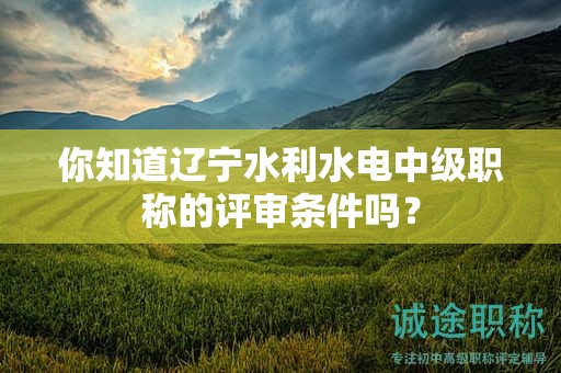 你知道遼寧水利水電中級職稱的評審條件嗎？