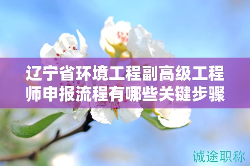 遼寧省環(huán)境工程副高級工程師申報流程有哪些關(guān)鍵步驟，怎樣避免常見錯誤？