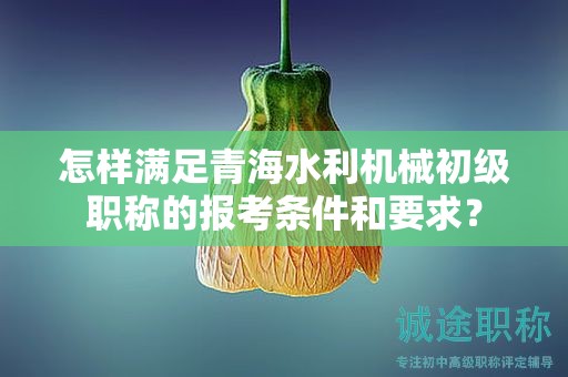 怎樣滿(mǎn)足青海水利機(jī)械初級(jí)職稱(chēng)的報(bào)考條件和要求？