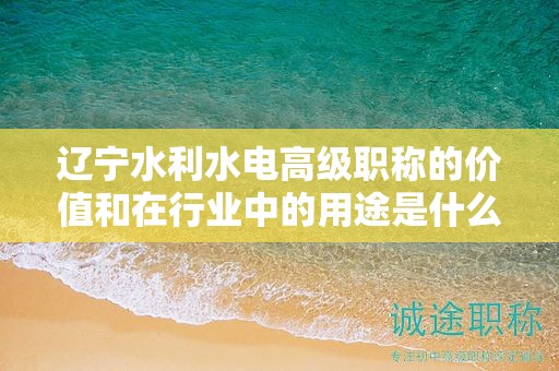 遼寧水利水電高級職稱的價值和在行業(yè)中的用途是什么？