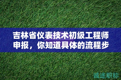 吉林省儀表技術(shù)初級工程師申報，你知道具體的流程步驟嗎？