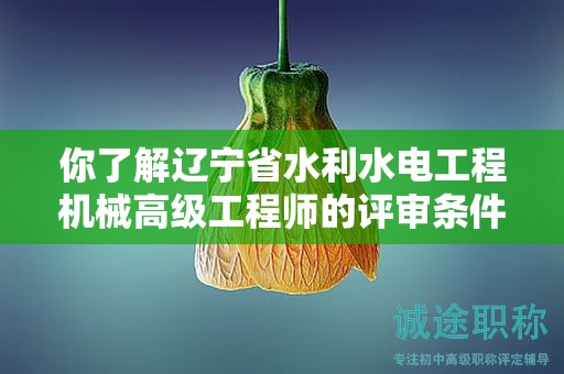 你了解遼寧省水利水電工程機械高級工程師的評審條件嗎？