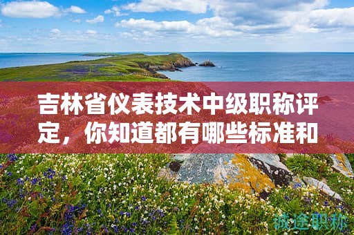 吉林省儀表技術中級職稱評定，你知道都有哪些標準和要點嗎？
