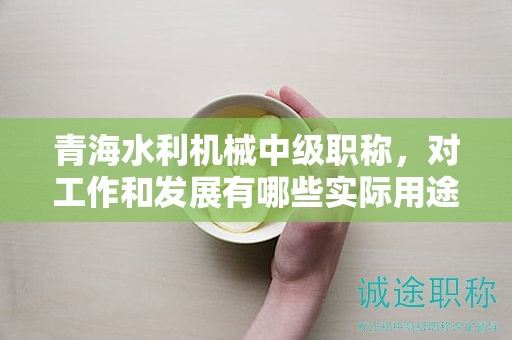 青海水利機械中級職稱，對工作和發(fā)展有哪些實際用途？