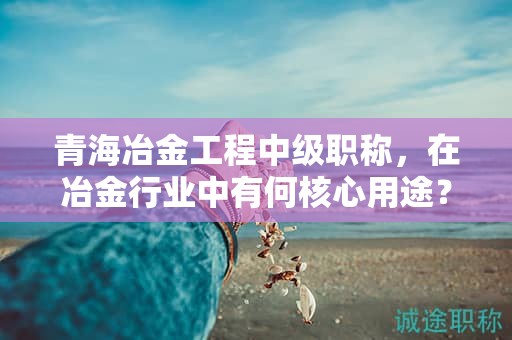 青海冶金工程中級職稱，在冶金行業(yè)中有何核心用途？
