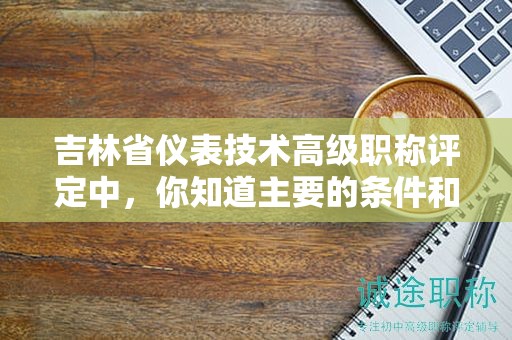 吉林省儀表技術高級職稱評定中，你知道主要的條件和標準嗎？