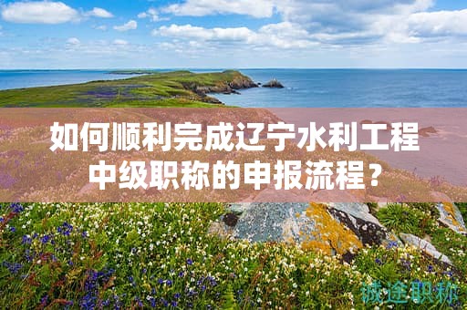 如何順利完成遼寧水利工程中級職稱的申報流程？