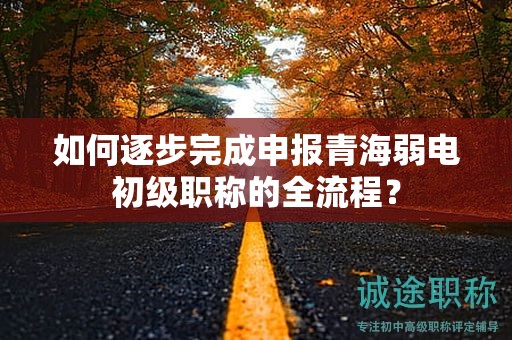 如何逐步完成申報(bào)青海弱電初級(jí)職稱(chēng)的全流程？