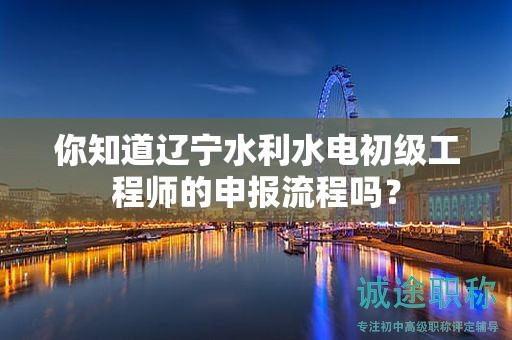 你知道遼寧水利水電初級工程師的申報流程嗎？